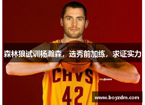 森林狼试训杨瀚森，选秀前加练，求证实力