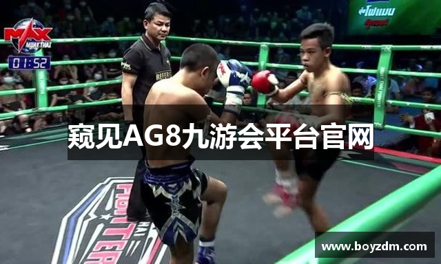 窥见AG8九游会平台官网
